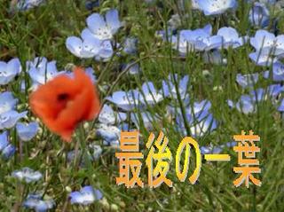 hitoha0911.jpg